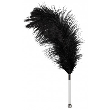 Перышко - 2491729 Feather, black acrylic