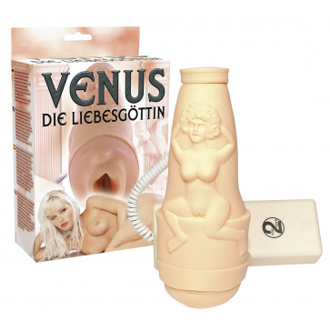 Мастурбатор вагина - Masturbator Venus