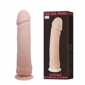 Фаллоимитатор на присоске " BIG Penis " BW-007012C