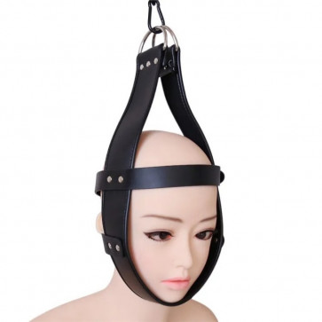 Leather Hood Head Immobilization Harness