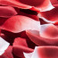 Ароматизированные лепестки роз ROSE PETAL EXPLOSION  100 шт.  Bijoux Indiscrets (Испания) - [Фото 2]