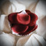 Ароматизированные лепестки роз ROSE PETAL EXPLOSION  100 шт.  Bijoux Indiscrets (Испания) - [Фото 3]