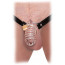 Fetish Fantasy Extreme Extreme Chastity Belt - Silver/Black - [Фото 2]