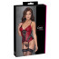 Корсет з підв'язками для панчіх - 2632802 Cottelli Collection Basque Red/Black - [Фото 1]
