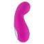 Cliona Purple - [Фото 2]