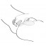 Shunga Sanya Light Pink - [Фото 6]