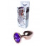 Анальна пробка - Jewellery Red Gold Plug Purple - [Фото 1]