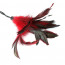 Метелочка Sportsheets - PLEASURE FEATHER RED - [Фото 1]
