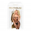 Бодистокинг с чулками и геометрическим рисунком Penthouse - Firecracker Black XL - [Фото 2]