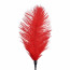 Щекоталка со страусиным пером  Art of Sex - Feather Tickler, цвет Красный - [Фото 2]
