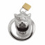 Клетка для члена Master Series Tiger King Cock Cage With Lock - [Фото 3]
