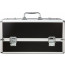 Кейс для хранения секс-игрушек BMS Factory - Large Lokable Vibrator Case Black - [Фото 3]