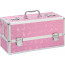 Кейс для хранения секс-игрушек BMS Factory - Large Lokable Vibrator Case Pink - [Фото 1]