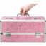 Кейс для хранения секс-игрушек BMS Factory - Large Lokable Vibrator Case Pink - [Фото 4]