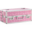 Кейс для хранения секс-игрушек BMS Factory - Large Lokable Vibrator Case Pink - [Фото 2]
