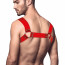 Мужская портупея на грудь Feral Feelings - Bulldog Harness Red Trasparent - [Фото 2]