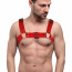 Мужская портупея на грудь Feral Feelings - Bulldog Harness Red Trasparent - [Фото 1]