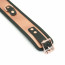 Ошейник с поводком Liebe Seele Rose Gold Memory Collar with Leash - [Фото 5]