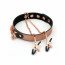 Ошейник с зажимами для сосков Liebe Seele Rose Gold Memory Collar with Nipple Clamps - [Фото 1]