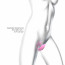 Виброяйцо с вакуумной клиторальной стимуляцией Love To Love Wonderlover PINK PASSION - [Фото 5]