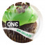 Ароматизированный презерватив ONE FlavorWaves Mint Chocolate, 1 шт, зеленый, запах мятного шоколада - [Фото 1]