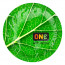 Презерватив ONE Color Sensations - ONE with nature (Emerald) 1 шт - [Фото 1]