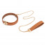 Поводок LOCKINK Tied Collar with Leash Set - Brown - [Фото 1]
