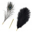 Щекоталка LOCKINK SEVANDA Natural Peacock Flirting Feather Tickler, перо павлина - [Фото 1]