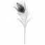 Щекоталка LOCKINK SEVANDA Natural Peacock Flirting Feather Tickler, перо павлина - [Фото 2]