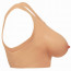 Накладная силиконовая грудь Master Series Perky Pair D-Cup Silicone Breasts - [Фото 1]