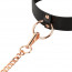 Ошейник с поводком Rosy Gold - Collar with Leash - Black - [Фото 6]
