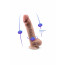 Фаллоимитатор SilexD Tomas Premium Real Skin Flesh (9in MODEL 1) - [Фото 6]