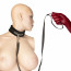 Ошейник с поводком Punishment - Crystal Collar & Leash – Black - [Фото 2]