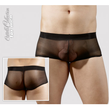 Чоловічі труси - 2131382 H.Pants 2er sw, SL