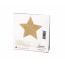 Прикраса на соски Bijoux Indiscrets - Flash Star Gold - [Фото 2]