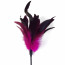 Лоскіт темно-рожевий Art of Sex - Feather Paddle, перо молодого півня - [Фото 1]